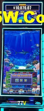 Crash Games Statistics 77V