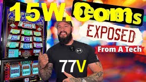 Programa VIP 77V